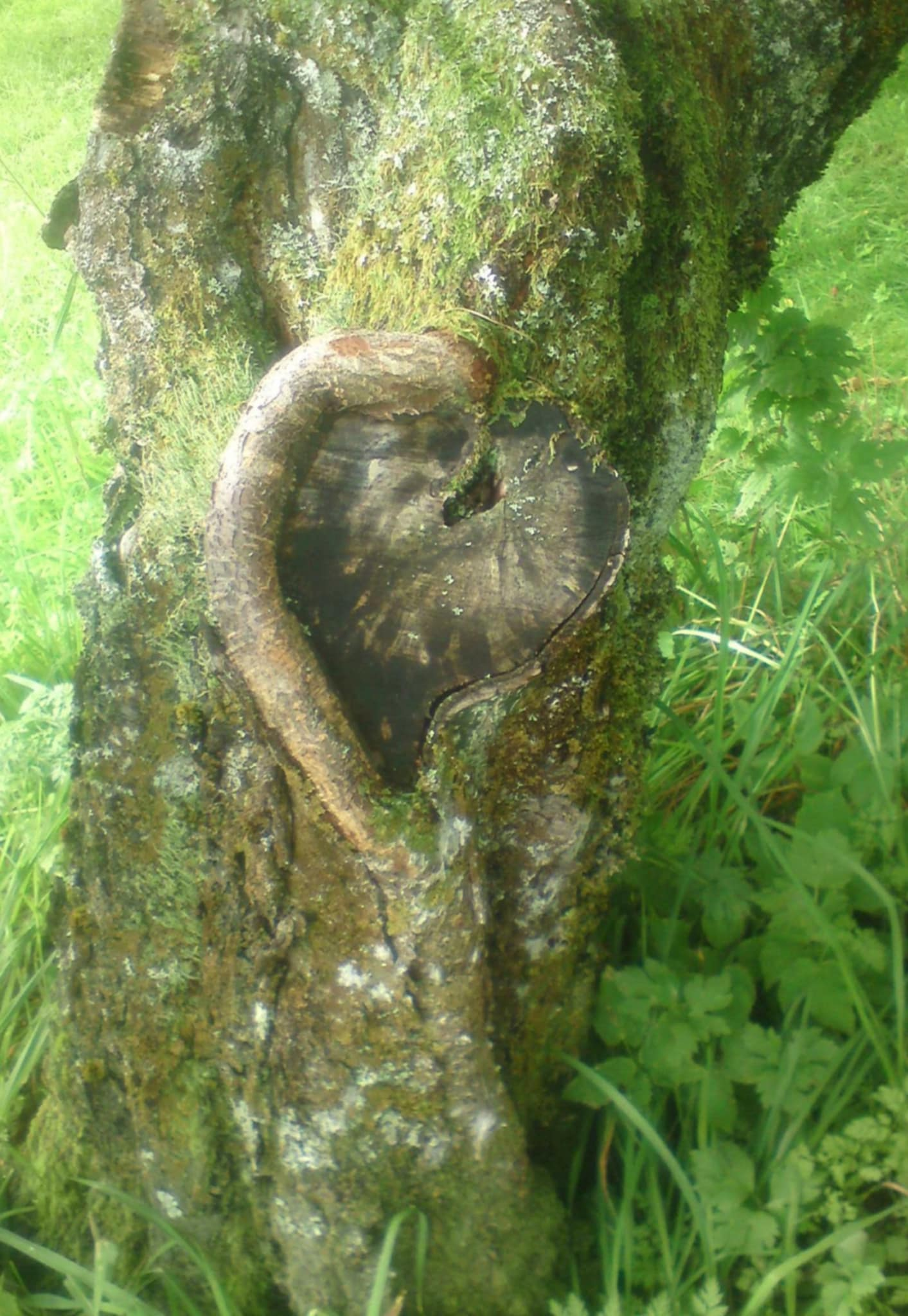 Vi trenger varme når vi har det tøft. Et smil kan være nok til å snu dagen for noen. 