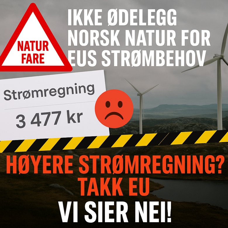 Norge trenger ikke nye EUs Energidirektiv (2024/1711)– vi trenger politisk ryggrad.  